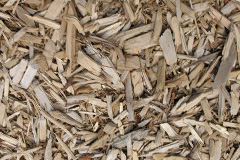 biomass boilers Starling